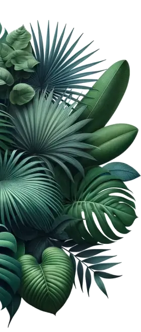 Discover Nature's Left Pattern Discover Nature's Left Pattern