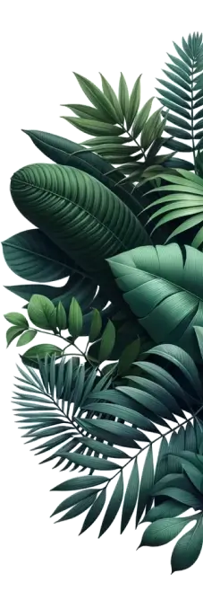 Discover Nature's Right Pattern Discover Nature's Right Pattern